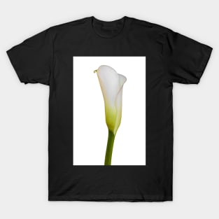 Flowering Arum Lily T-Shirt